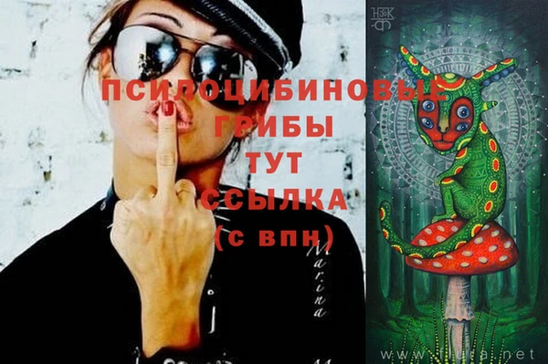 jwh Аркадак