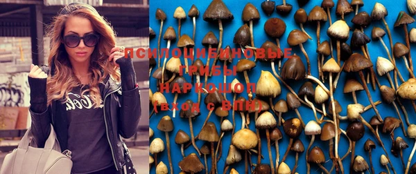 jwh Аркадак